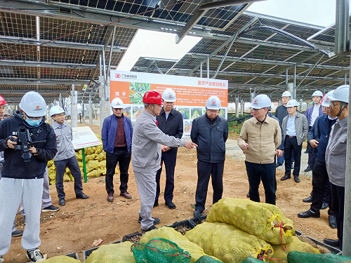 省工業(yè)和信息化廳副廳長吳東文及縱向幫扶組團(tuán)單位一行到葵潭農(nóng)場調(diào)研2.png